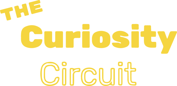 The Curiosity Circuit Logo